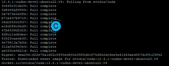 image-20250310170528839.webp
