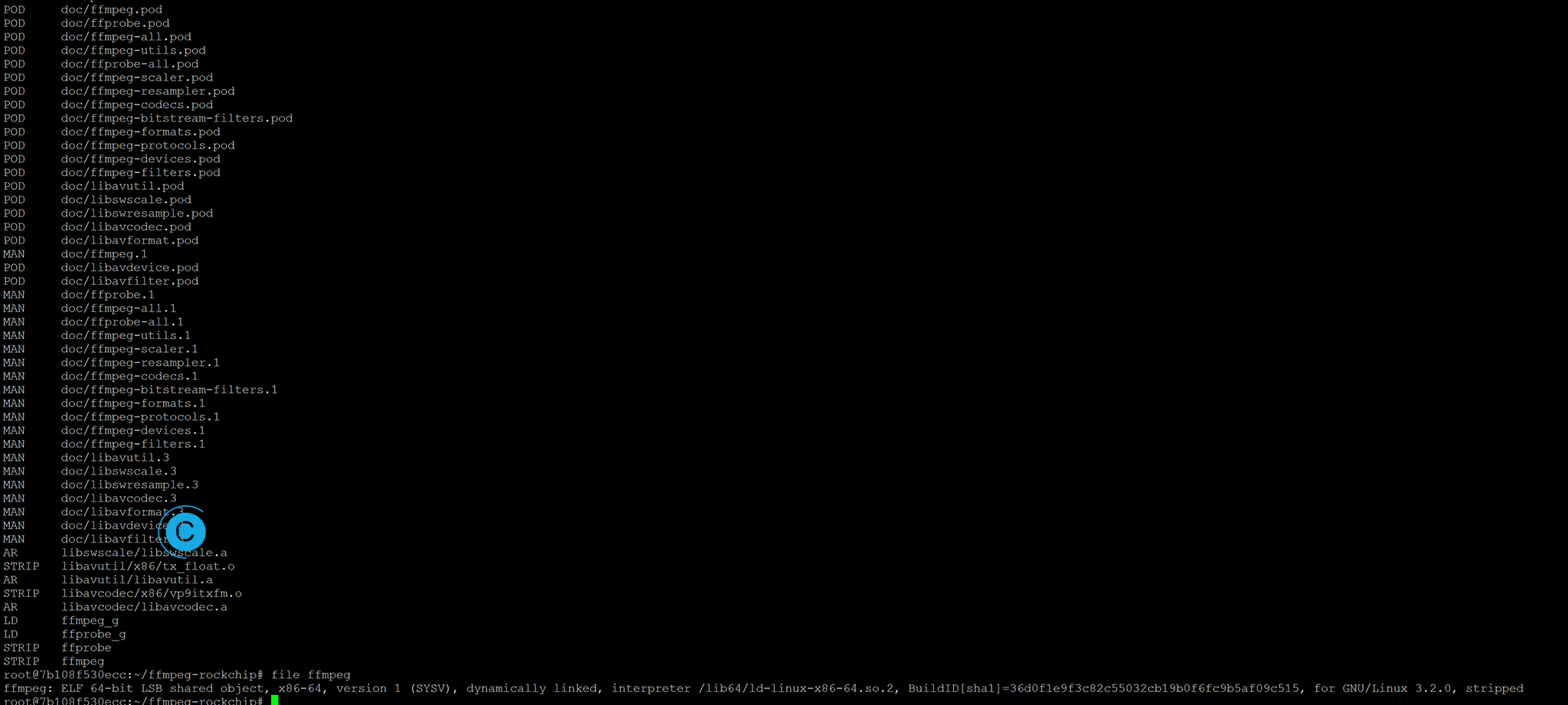 image-20250531110435456.webp